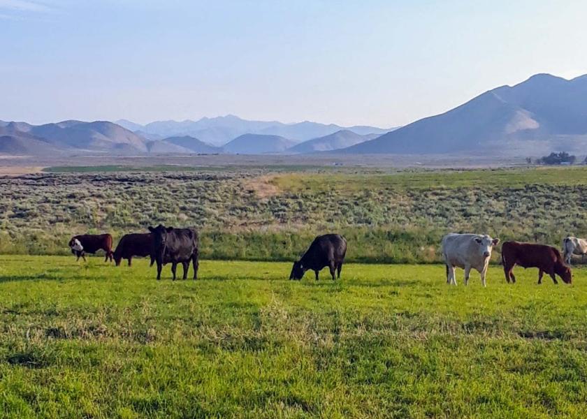 Huff Creek Ranch, Idaho