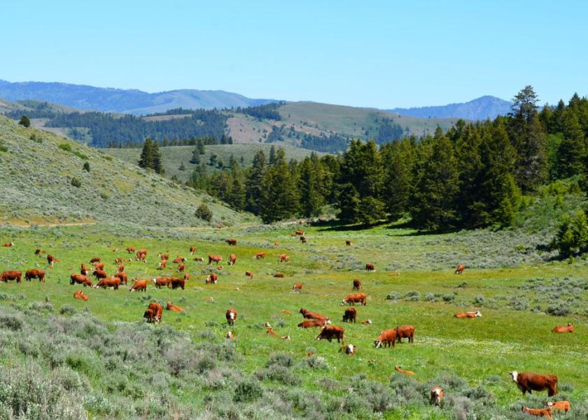 Lookout Mountain Ranch, Oregon