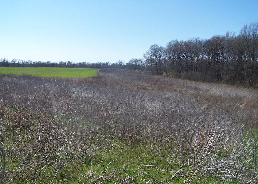 USDA is trying to attract more acres into CRP, with a goal of enrolling up to 4 million new acres into the program.