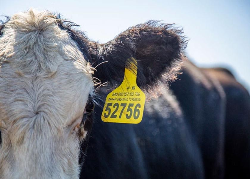The revised legislative proposals calls for the Secretary to establish five to seven “covered regions” that encompass the entire continental U.S. and that reflect similar fed cattle purchasing practices. 