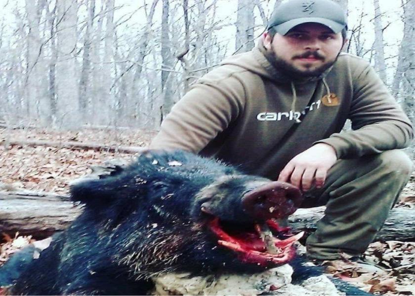 is hog hunting with dogs legal