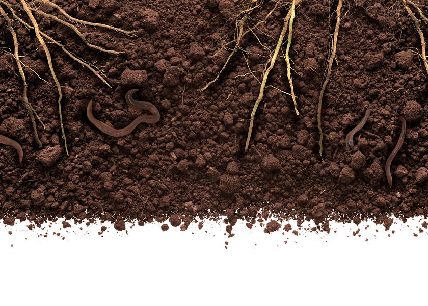 In April, Truterra announced a springboard for focus in soil health by announcing a network of agronomists to help facilitate the implementation of those agronomic practices alongside its retail network agronomists and their farmer customers. 