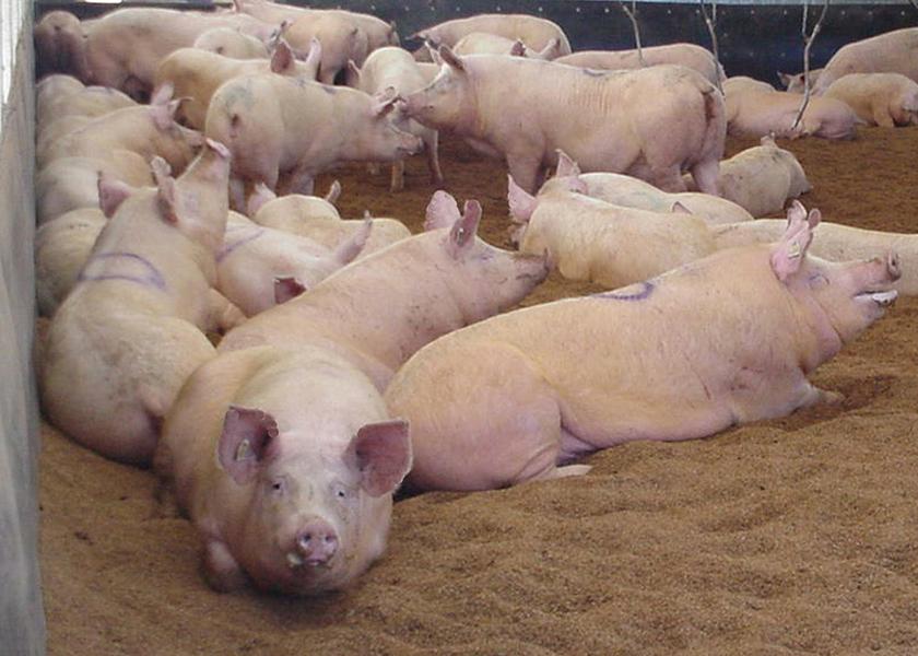 On Saturday night, the plaintiffs, which include Triumph Foods, LLC, Christensen Farms Midwest, LLC, The Hanor Company of Wisconsin, LLC, New Fashion Pork, LLP, Eichelberger Farms, Inc., and Allied Producers’ Cooperative filed the motion.