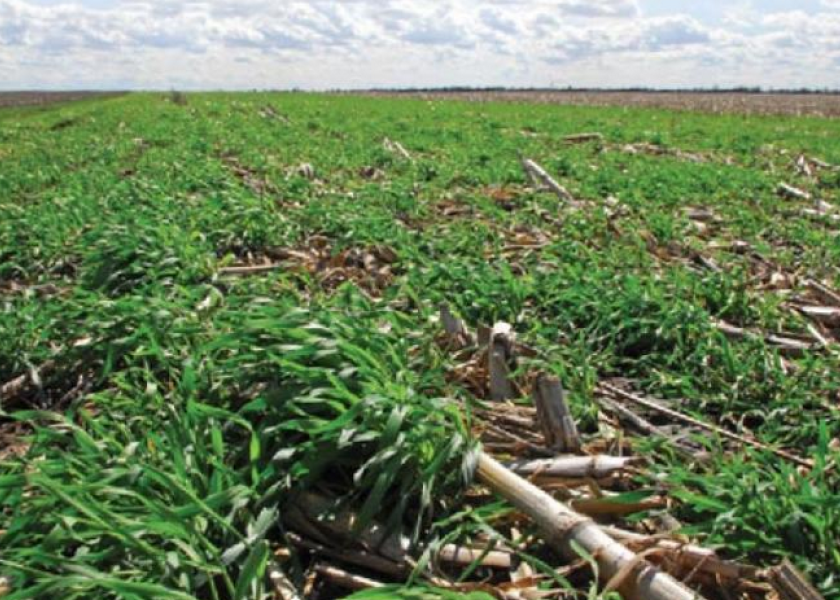 The survey uses records from ag retailers to measure the use of cover crops, nutrient management and conservation tillage and no-till by Iowa growers. 