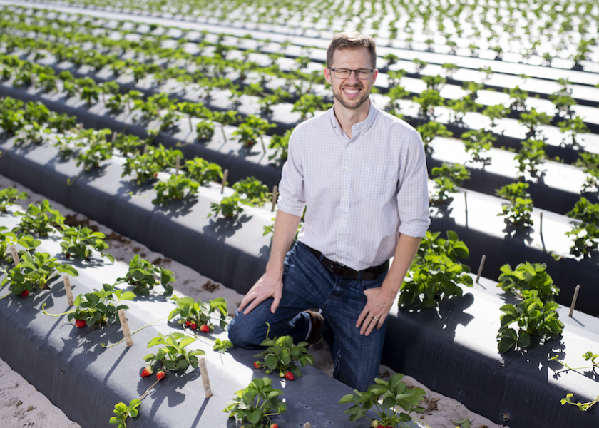 Vance Whitaker, a UF/IFAS associate professor of horticultural sciences, used an algorithm that gives him the ability to predict how a strawberry will taste.