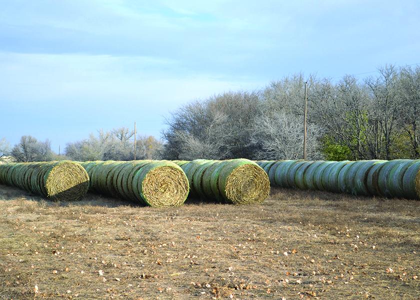 round bale storage bolsas