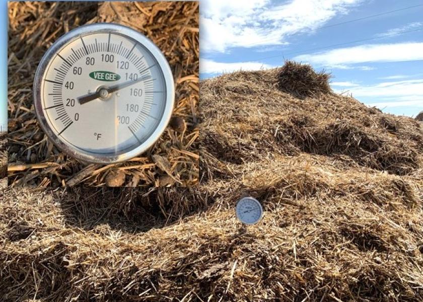 A manure pile from a dry lot is undergoing thermophilic decomposition, with the internal temperature between 130 and 150 degrees.
