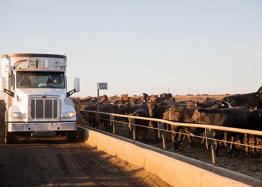 What makes a fed cattle qualify for Certified Angus Beef?