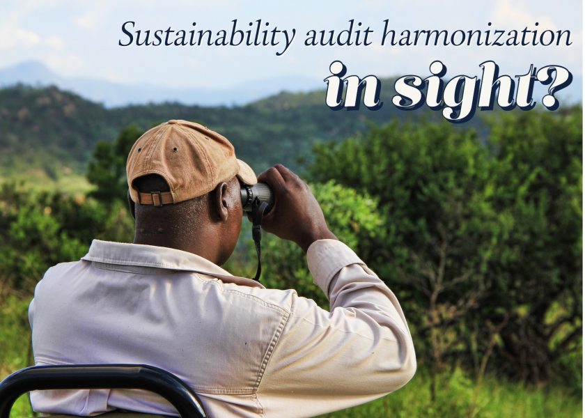 Is sustainability audit harmonization in sight?