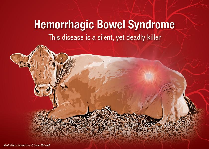 HBS is characterized as an acute and sometimes massive hemorrhage in the small intestine, which can subsequently lead to the formation of intraluminal blood clots and obstruction. Furthermore, affected cows suffer from the collective effects of blood loss, intestinal obstruction and necrosis of the bowel.