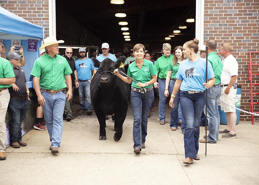 Governor’s Charity Steer Show Returns to Iowa State Fairgrounds Drovers