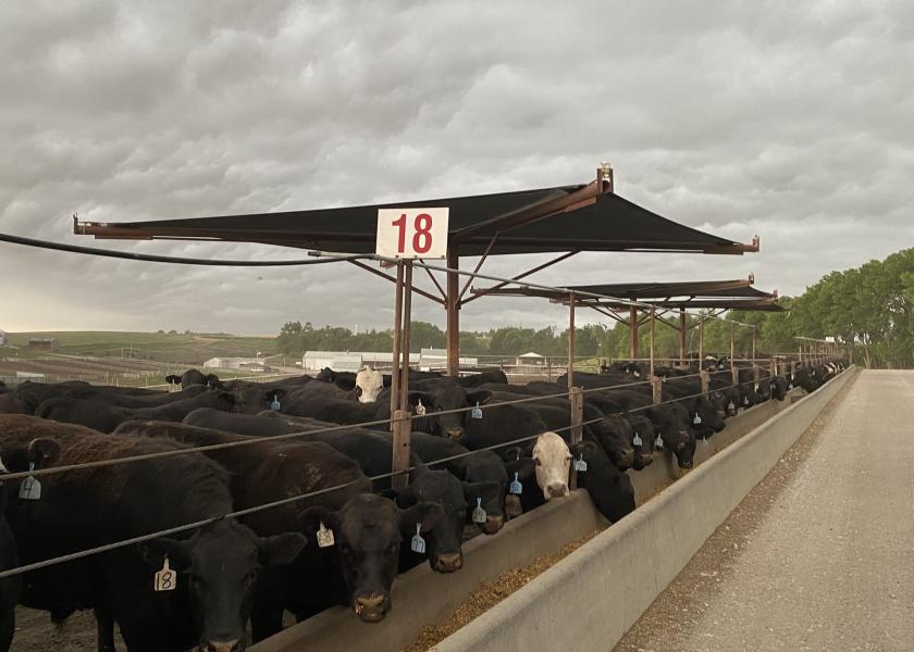 Shade has been found to be beneficial to feedlot cattle, the greatest benefit of shade for finishing cattle is at the onset of the heat stress event. Cattle with shade have lower respiration rates and body temperatures when temperatures increase. Under heat stress, shaded finishing cattle in feedlots have increased average daily gain, hot carcass weights and dressing percentage as well as improved feed efficiency. 