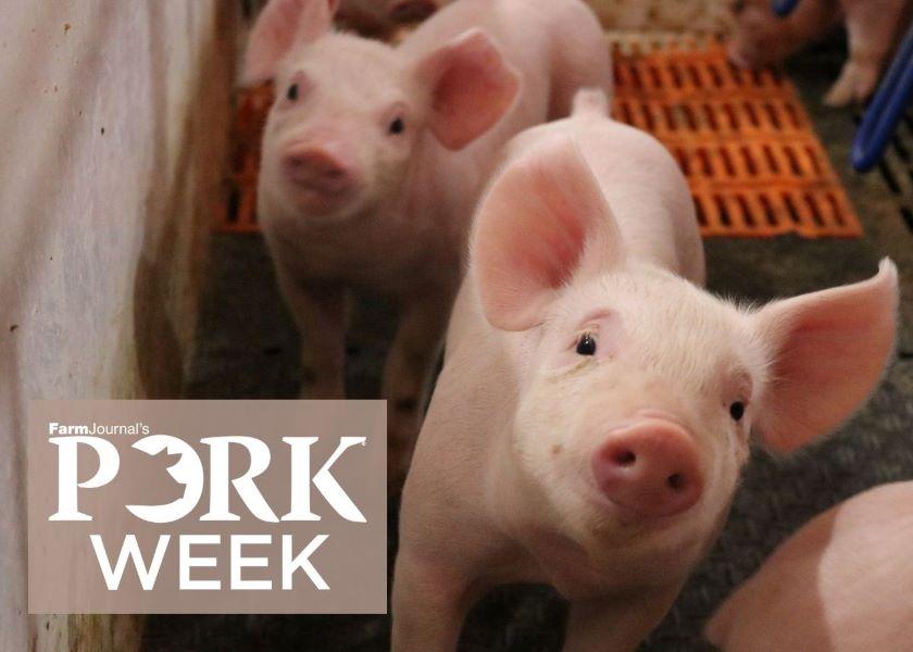 No one can deny there’s a lot to talk about in the pork industry today, including margin volatility, labor, and meat quality improvement and innovation.