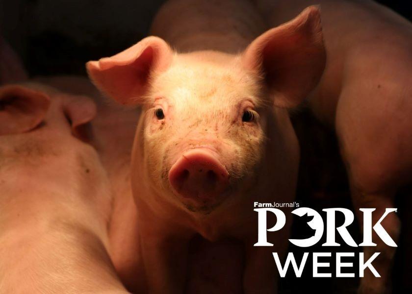 Pork Week