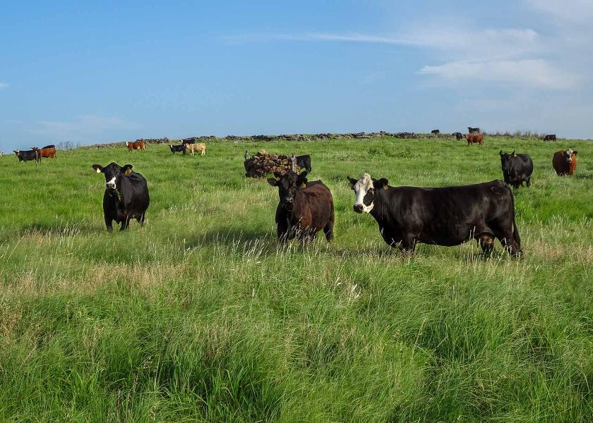 Rural bankers note strong economic rebound continues