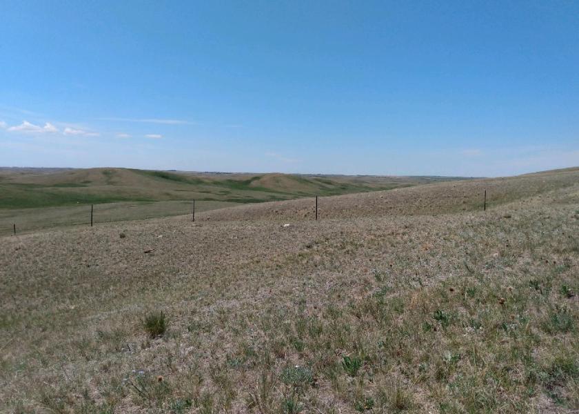 North Dakota pasture in D4 area.