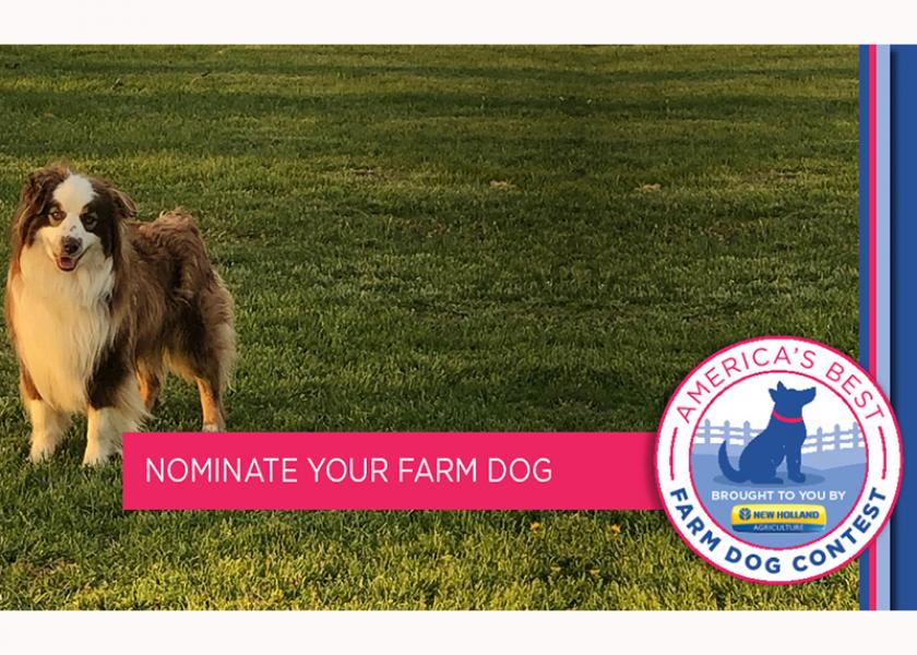 Your dog could be named the top dog in the U.S. Enter America’s Best Farm Dog Contest, brought to you by New Holland. 
