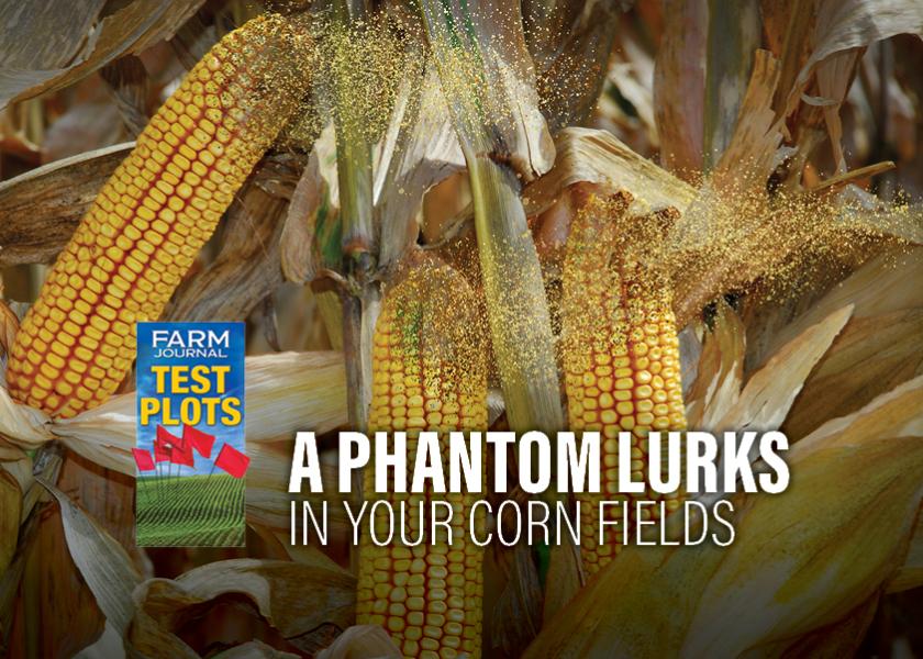 Farm Journal Test Plots: A Phantom Lurks in Your Corn Fields