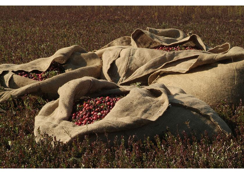 Cranberry sacks