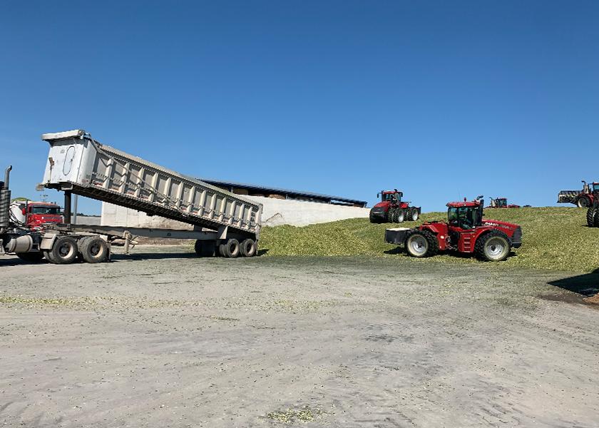 Four farms located in Kansas and Nebraska fall under the McCarty Family Farms umbrella. All together they milk 8,500 cows and will put up 5,200 acres of corn silage to feed all their cattle. 