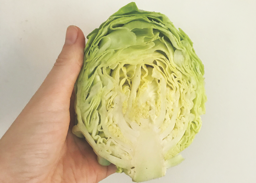 This miniature cabbage was harvested May 23, at the Northern New York Agricultural Development Program vegetable research trials at the Willsboro Research Farm, Willsboro, N.Y.