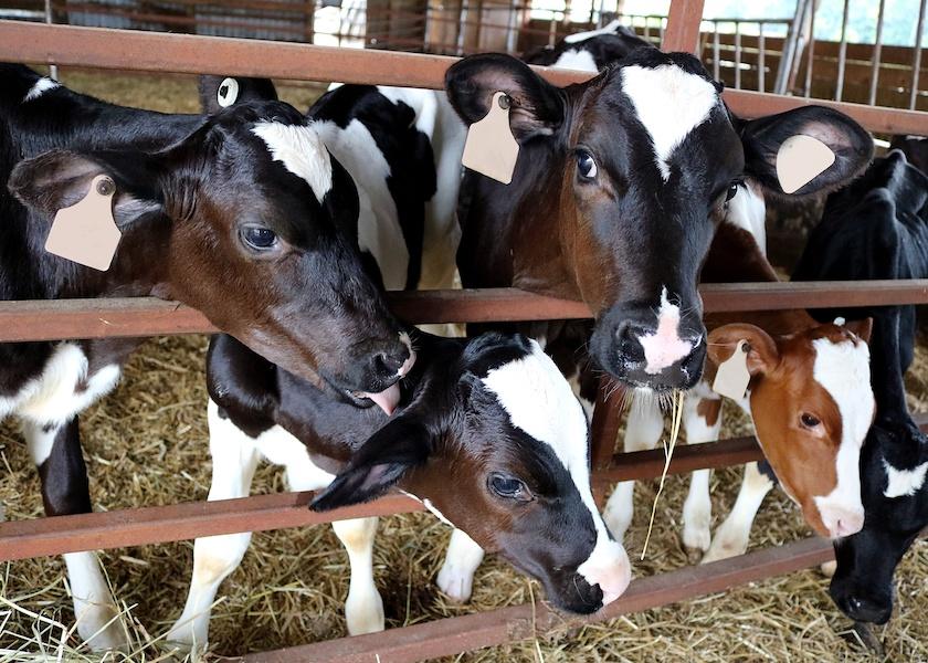 A Stepped-Down Approach to Weaning