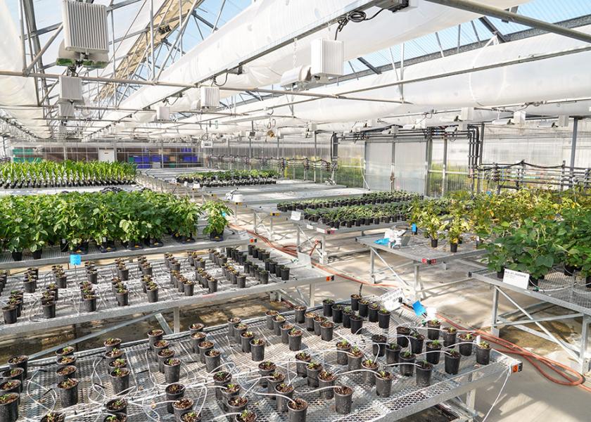 Joyn Bio is a joint venture between Ginkgo Bioworks and Leaps by Bayer and today has about 75 employees in California and Boston. 