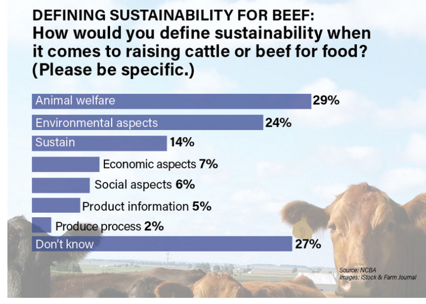 Survey results