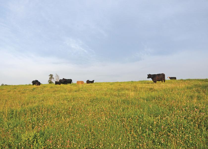  Cattle producers can set the table for the discussion on sustainability in beef.