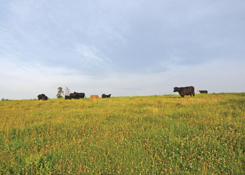 Cattle producers can set the table for the discussion on sustainability in beef.