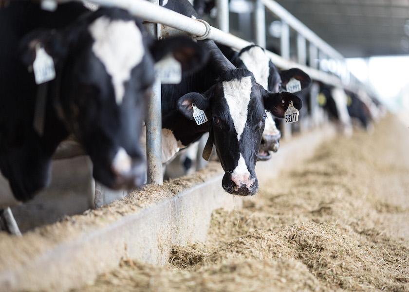 U.S. Dairy Herd Hits 27-year High | Dairy Herd