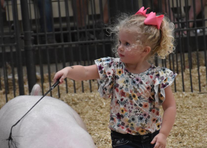 Christmas Comes Early for Peewee Pig Exhibitors 