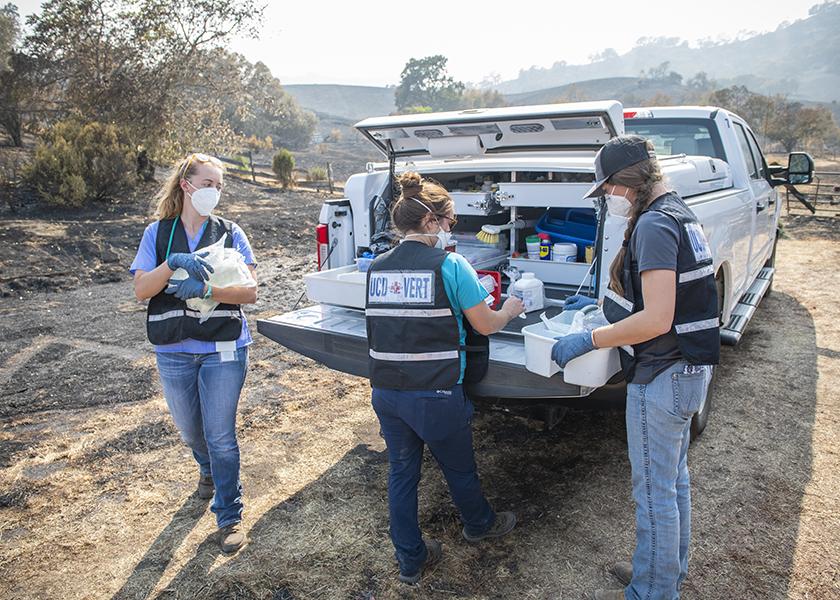 Members of the UC Davis Veterinary Emergency Response Team prepare to treat animals in a fire zone.