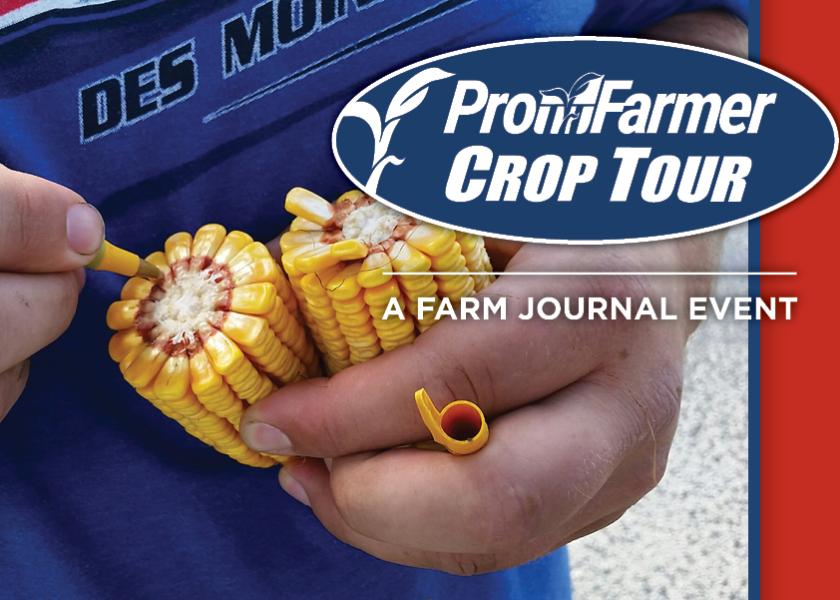It's the tale of two extremes on the first day of Pro Farmer Crop Tour. Heading into the tour, USDA painted an optimistic picture for Ohio, while South Dakota's outlook was grim. See what scouts saw during day 1.