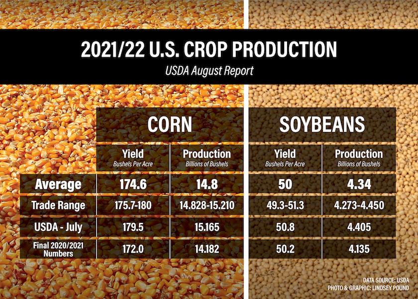 USDA Slashes Corn Yield in August Report, Projects Corn to Miss Trendline Yield