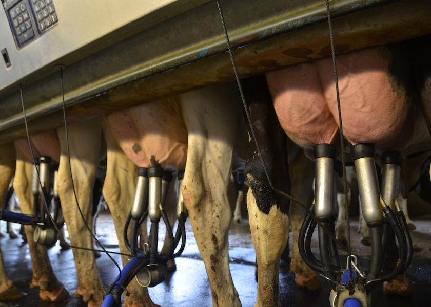 Most cows form a keratin plug that seals off the teat canal to prevent the entry of mastitis-causing pathogens. But it often doesn’t happen soon enough in today’s high-producing animals. 