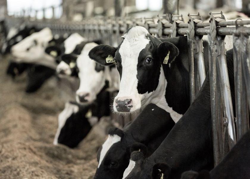The Importance of Glucose and How to Boost Production in Your Herd | Dairy  Herd