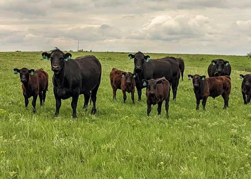 Nalivka: USDA Discontinuing its Mid-year Cattle Inventory