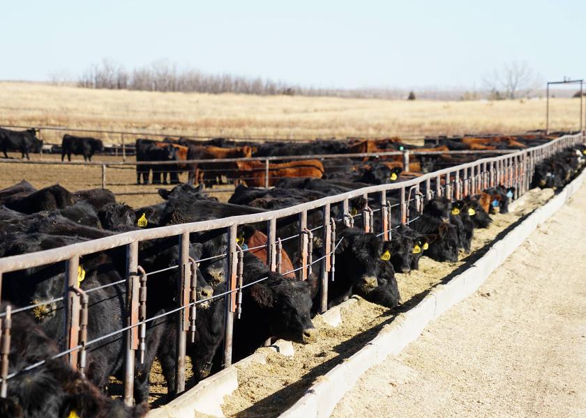 Miller: Cattle Market Reform Necessary for a Sovereign, Secure Food System