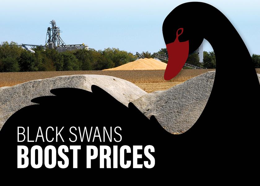 Black Swans Boost Fertilizer Prices