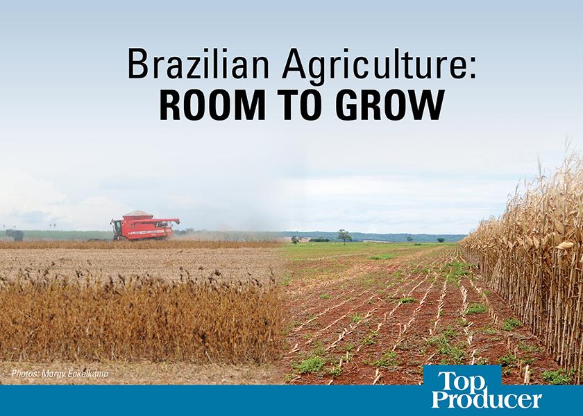 Brazilian Agriculture: Room to Grow