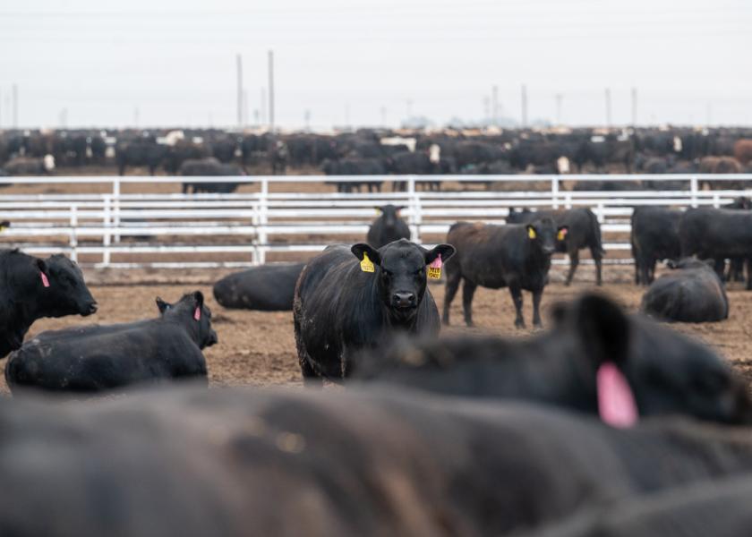 Fairleigh Feedyard