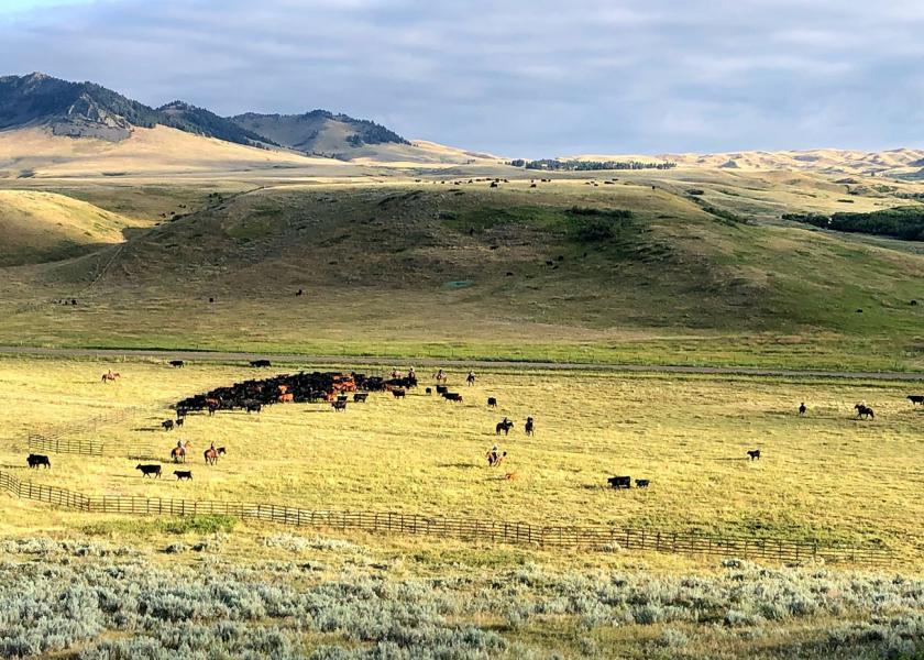 IX Ranch, Montana