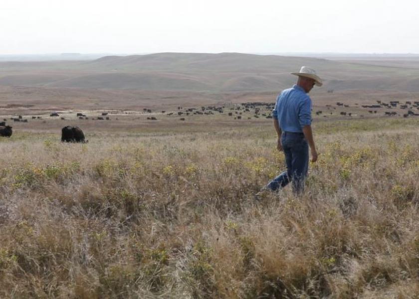 North Dakota grassland