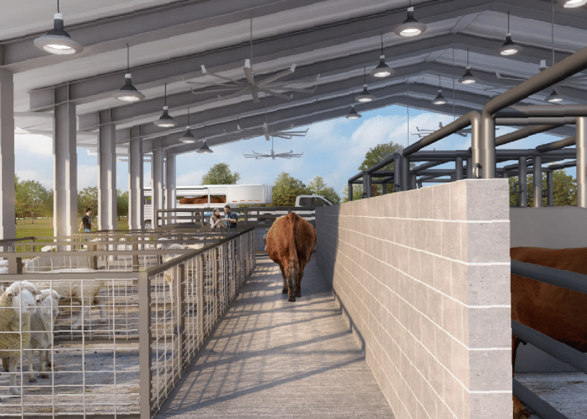 An artist rendition of the outdoor space at the Animal Reproductive Biotechnology Center
