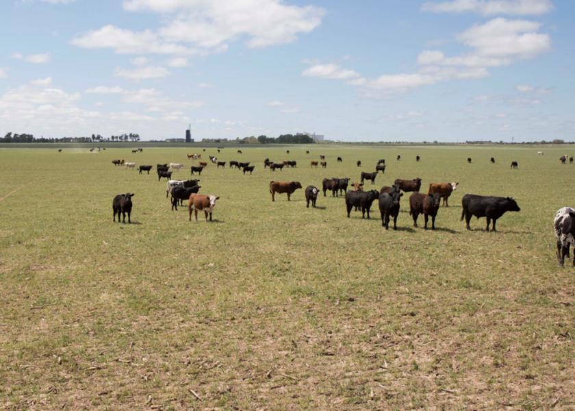 Drought conditions this summer are rivaling what Texas producers saw in 2011.