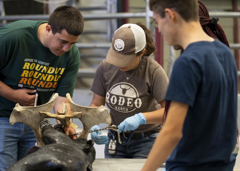 Youth participate in a 4-H Veterinary Science Camp