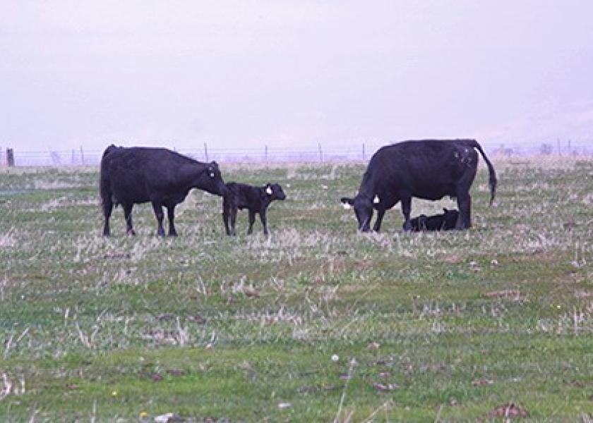 Meat Animal Research Center