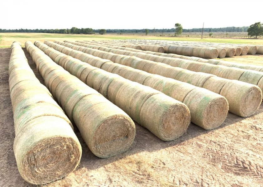 Stored hay
