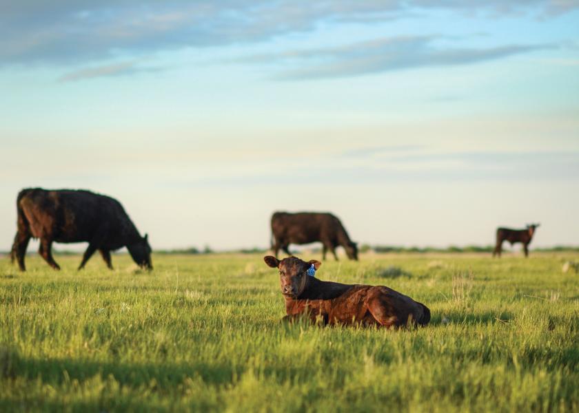 Syngenta Joins Trust In Beef™